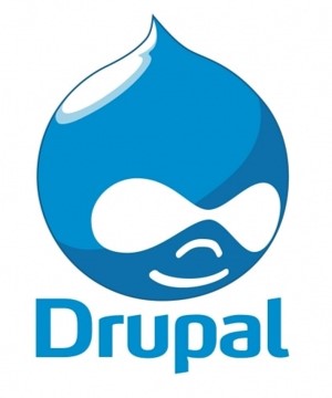 Création de formulaires dynamiques avec Drupal